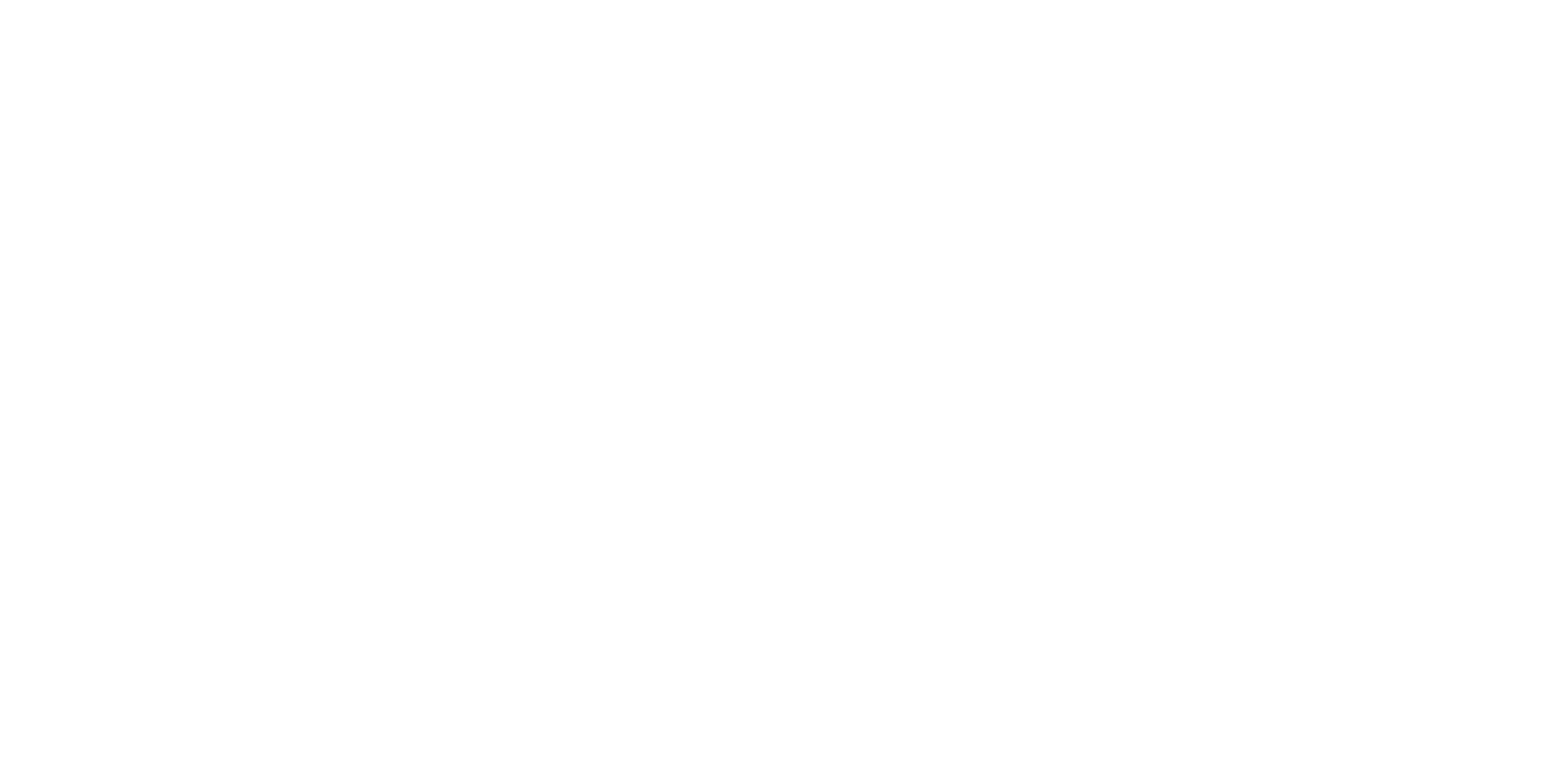 IEEE ENSI SB Logo